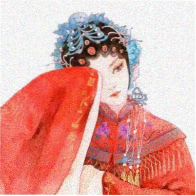 读者Zoe头像